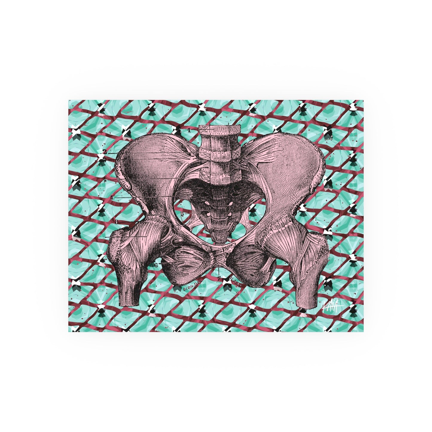 Pelvis (pink), Satin/Matte Archival Poster