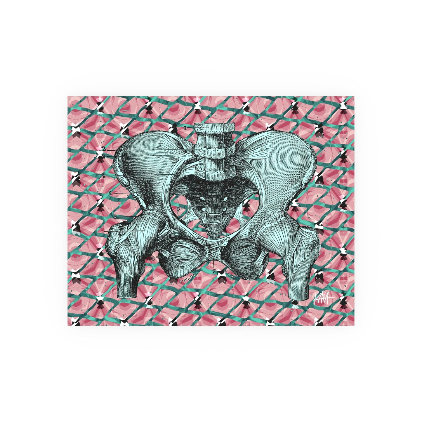 Pelvis (teal), Satin/Matte Archival Poster