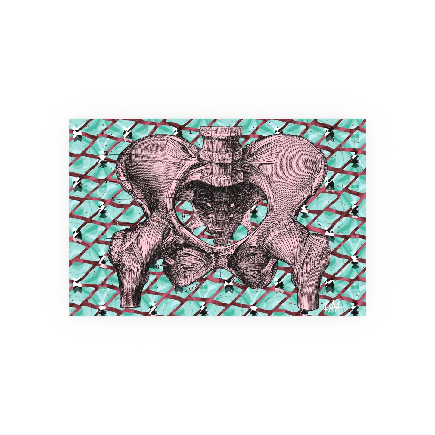 Pelvis (pink), Satin/Matte Archival Poster