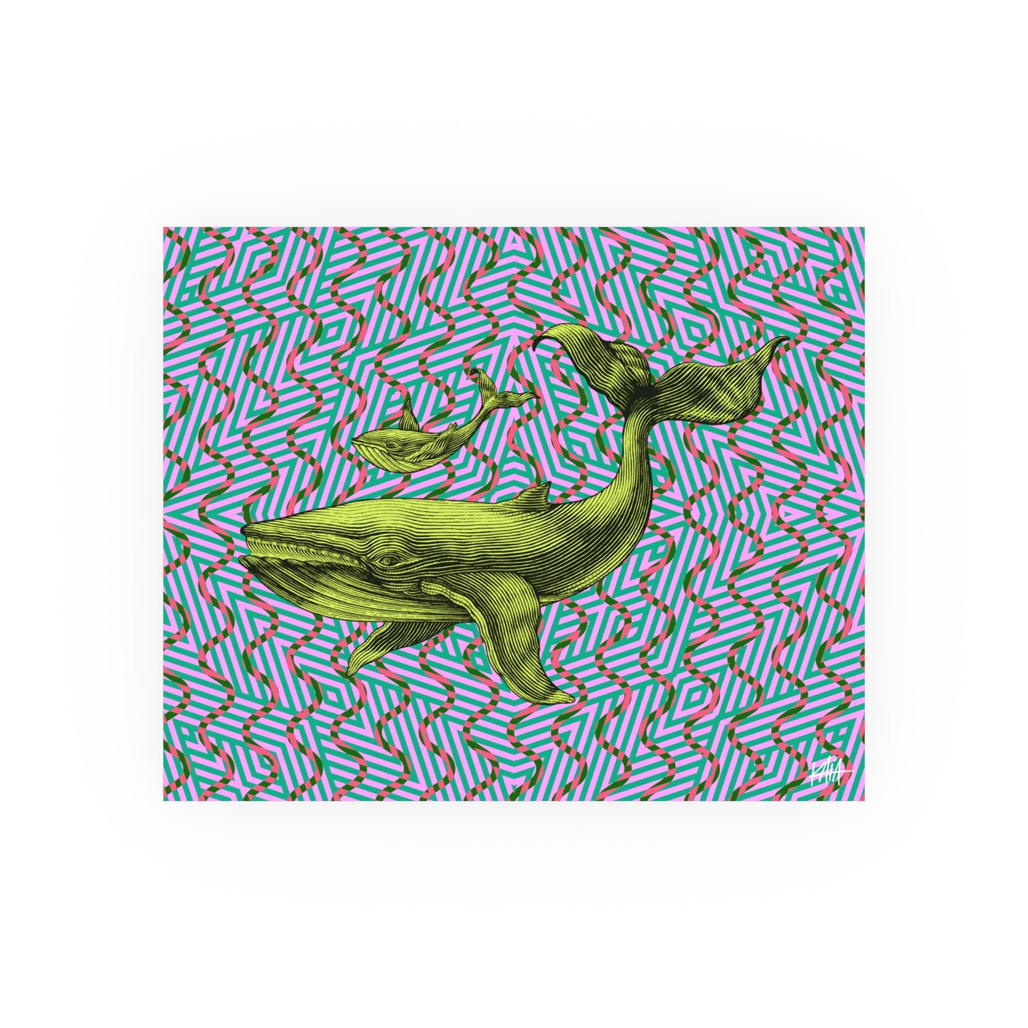 Whales, Satin/Matte Archival Poster